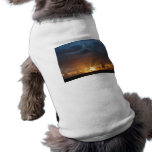 Rays of the Sun at Dawn pet clothing