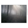 Rays Through Fog Cards