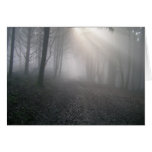 Rays Through Fog Greeting Cards