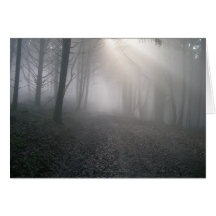 Rays Through Fog Greeting Cards