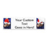 Razorbacked Musk Turtle, Santa Hat over head Bumper Sticker