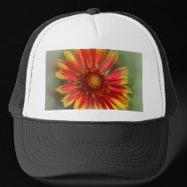 Razzle Dazzle hats