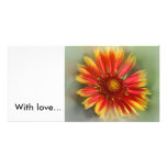 Razzle Dazzle, photo cards