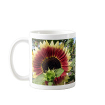 Razzmatazz Sunflower Mugs