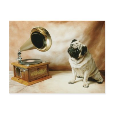 RCA Pug Dog Postcard
