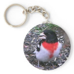 Re Breasted Gross Beak keychains