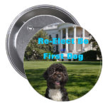 Re-Elect Bo as First Dog Button