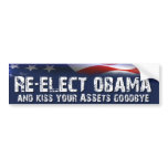 Re-Elect Obama - Anti Obama Election Bumper Sticker