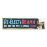 Re-Elect Obama, Stupid! bumper stickers