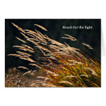 Reach for the Light card