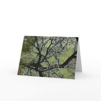 Reach for the Sky Greeting Card
