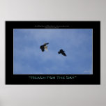 "REACH FOR THE SKY" Photo Print or Poster