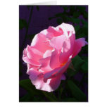 Reach for the Sun (1) Greeting Cards