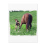 Reaching Foal with Mare Post Card