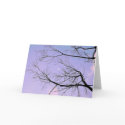 Reaching for the moon 1 cards