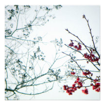 Reaching-out in Spring /All-Occasion Invites