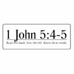 Read the Bible 1 John 5:4-5 photo sculptures