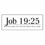 Read the Bible Job 19:25 photo sculptures