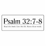 Read the Bible Psalm 32:7-8 photo sculptures