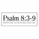 Read the Bible Psalm 8:3-9 photo sculptures
