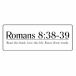 Read the Bible Romans 8:38-39 photo sculptures