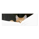 read to me kitty bookmark business cards
