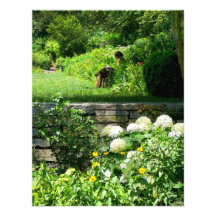 Reading in the Garden Personalized Invites