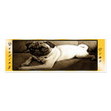 "Reading Time" Bookmark business cards