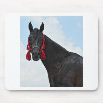 Ready for the show mousepad