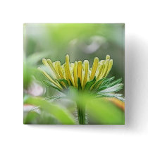 Ready To Bloom - Rudbeckia Button