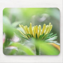 Ready To Bloom - Rudbeckia Mousepads