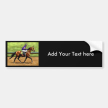 Ready to Run - Horse Painting Bumper Sticker