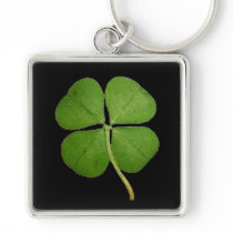 Real 4 Leaf Clover Shamrock Black