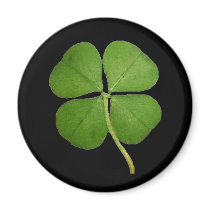 Real 4 Leaf Clover Shamrock Black