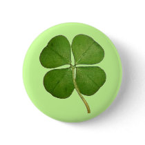 Real 4 Leaf Clover Shamrock Pinback Button