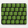 Real 4 Leaf Clover Shamrocks Black