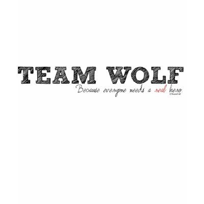 Real Hero T Shirts by TeamCall