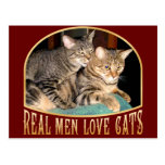 Real Men Love Cats Postcard