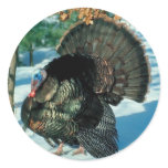 Real Turkey