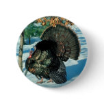 Real Turkey