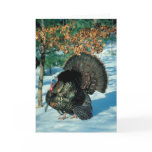 Real Turkey cards