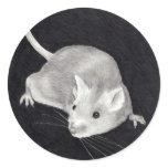REALISM DRAWING OF MOUSE: STICKERS