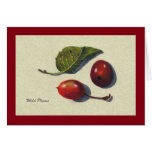 Realism Drawing of Wild Plums and Leaf cards