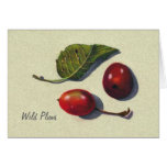 Realism Drawing of Wild Plums and Leaf cards