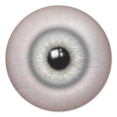 realistic looking eyeball stickers