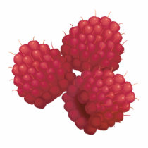 realistic raspberries acrylic cut out