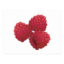 realistic raspberries post cards