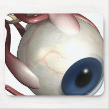 Realistic rendering of the muscles of the eye mousepad