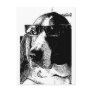 REally cool basset hound Postcard