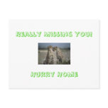 Really Missing You!Hurry Home postcards
